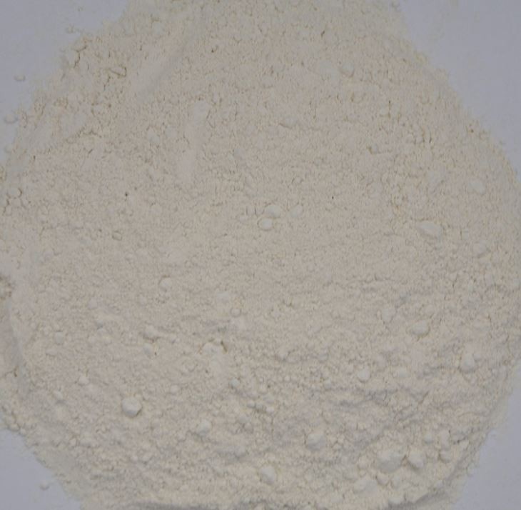 Dried Onion Powder