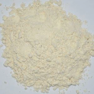 Aglio in polvere sano