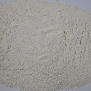 Polvere di cipolla bianca